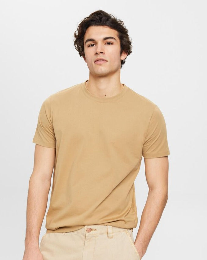 fitted tshirt pakistan