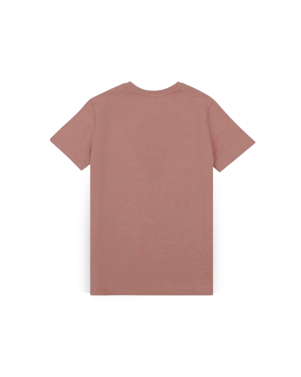 Fitted Tees - Pack of 5